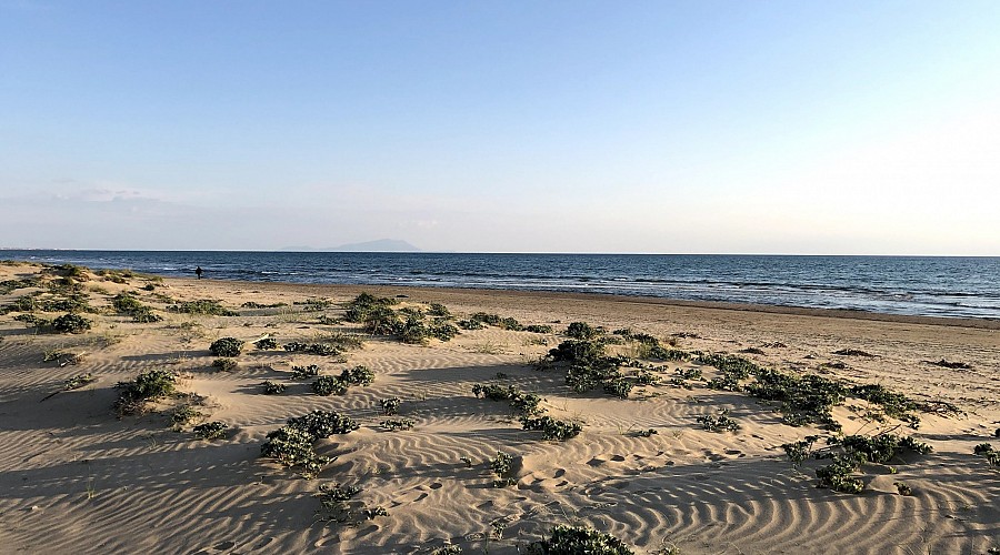 Spiaggia Libera di Mondragone  - Mondragone, Caserta <span class='provincia_scheda_link'>(provincia)</span>