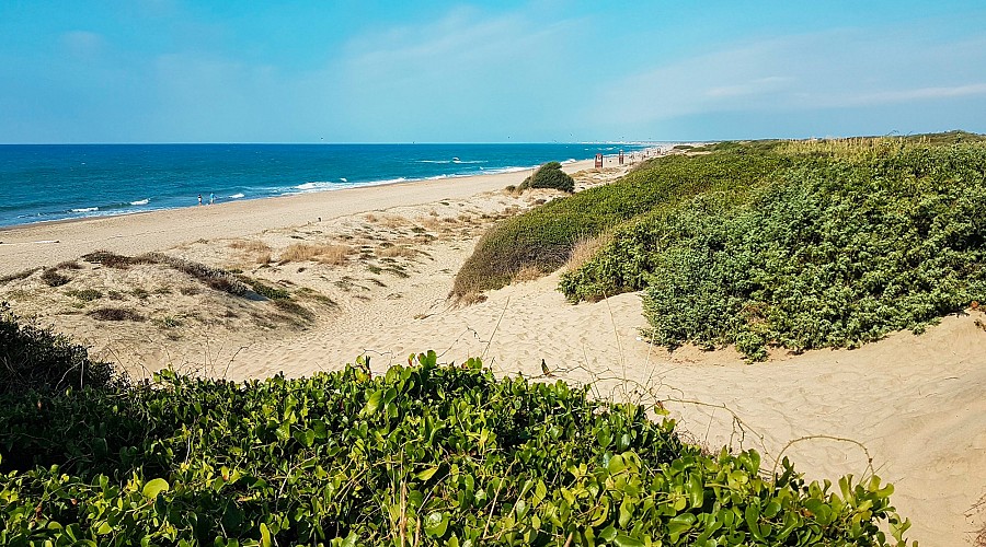 Settimo Cielo Beach  - Roma Capitale, Roma <span class='provincia_scheda_link'>(provincia)</span>