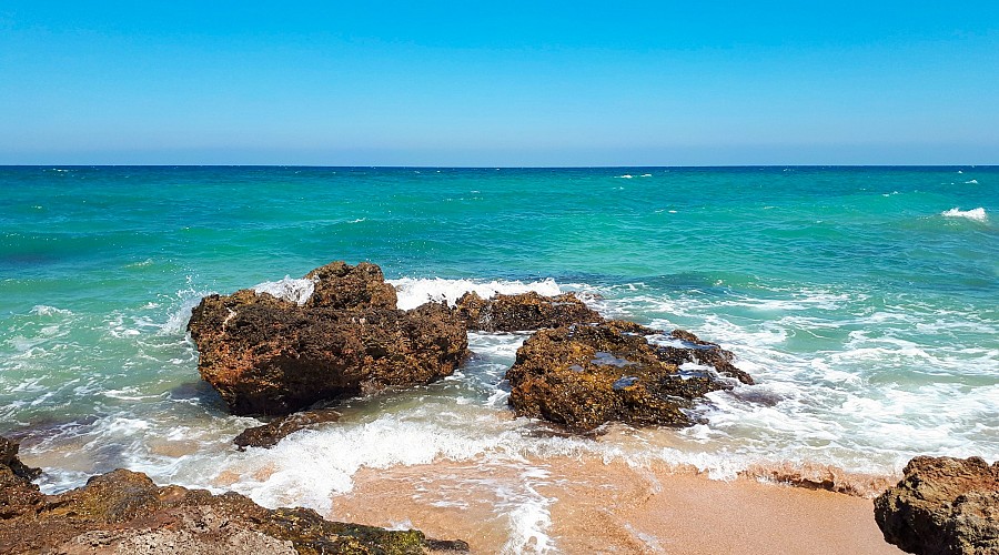 Spiaggia di Torre Canne Torre Canne - Fasano, Lecce <span class='provincia_scheda_link'>(provincia)</span>