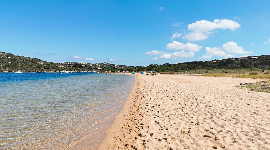 Spiaggia di Padula Piatta Porto Pollo - Palau, Sassari <span class='provincia_scheda_link'>(provincia)</span>