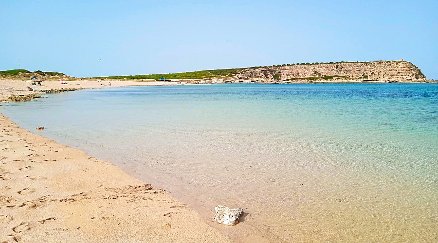 Spiaggia Sa Mesa Longa Sa Mesa Longa - San Vero Milis, Oristano <span class='provincia_scheda_link'>(provincia)</span>