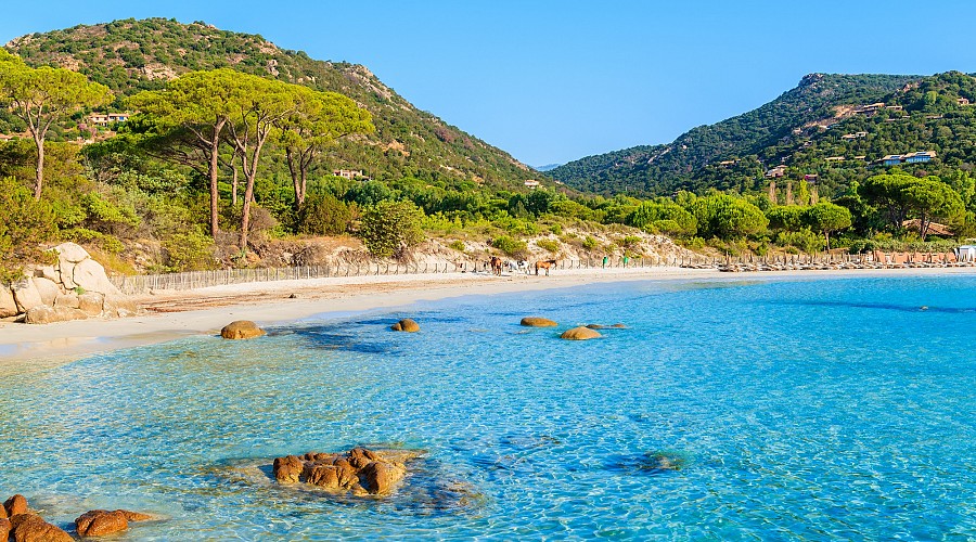 Spiaggia di Palombaggia Palombaggia - Porto Vecchio, Corsica del sud