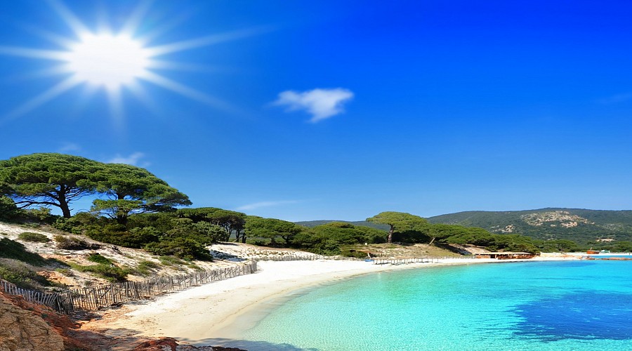 Spiaggia di Palombaggia Palombaggia - Porto Vecchio, Corsica del sud