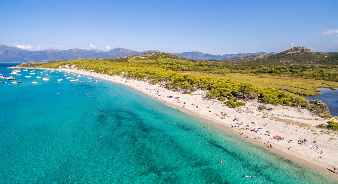 Spiaggia di Saleccia Saleccia - Santo Pietro di Tenda, Alta Corsica <span class='provincia_scheda_link'>(provinz)</span>