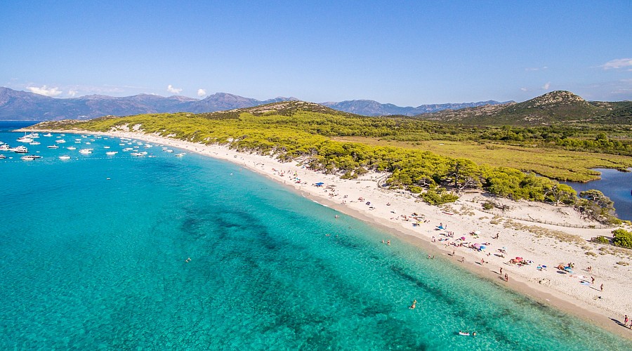 Spiaggia di Saleccia Saleccia - Santo Pietro di Tenda, Alta Corsica <span class='provincia_scheda_link'>(provincia)</span>