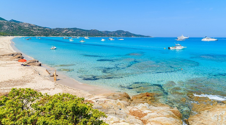 Spiaggia di Saleccia Saleccia - Santo Pietro di Tenda, Alta Corsica