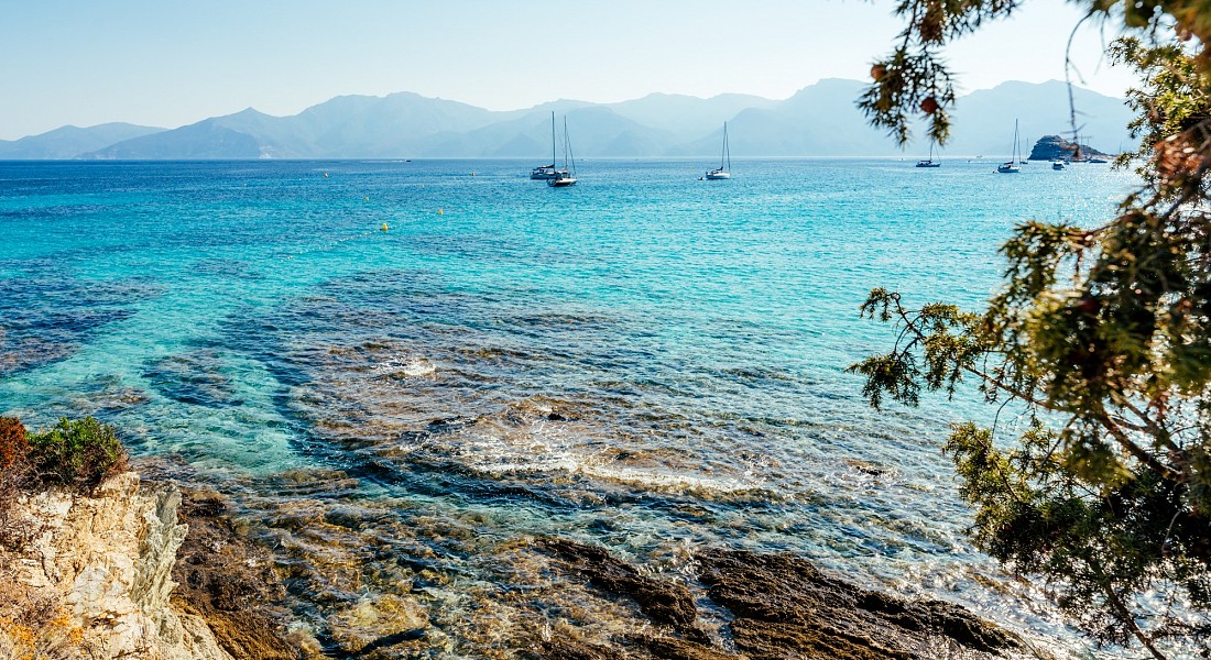 Spiaggia di Saleccia Saleccia - Santo Pietro di Tenda, Alta Corsica