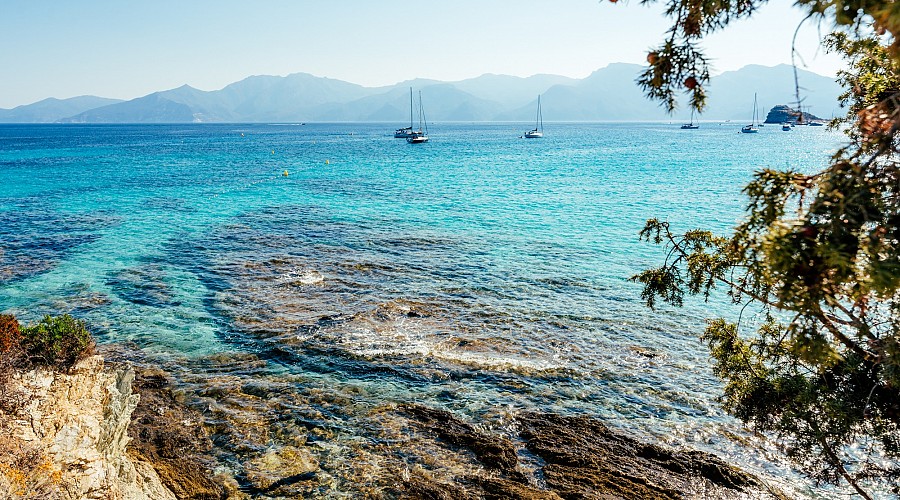 Spiaggia di Saleccia Saleccia - Santo Pietro di Tenda, Alta Corsica