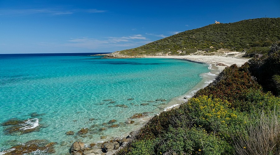 Spiaggia di Bodri Bodri - Calvi, Alta Corsica <span class='provincia_scheda_link'>(provincia)</span>