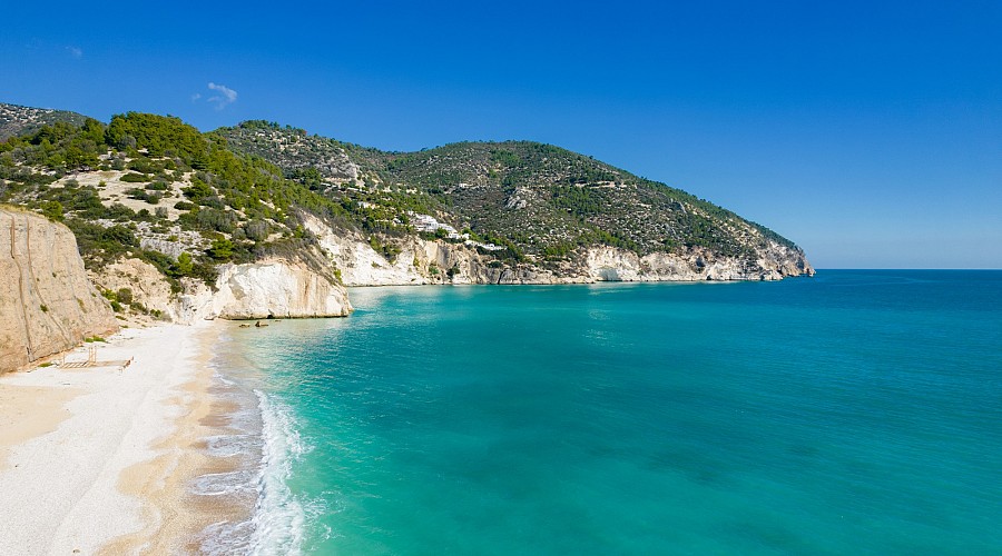 Spiaggia di Vignanotica Vignanotica - Mattinata, Foggia <span class='provincia_scheda_link'>(provincia)</span>