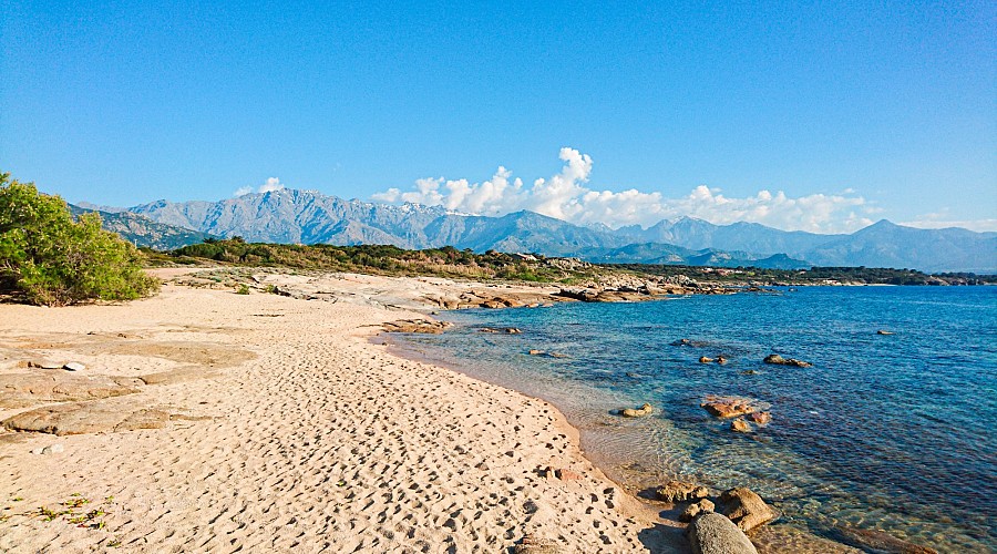 Spiaggia dell'Arinella Arinella - Lumio, Alta Corsica <span class='provincia_scheda_link'>(provincia)</span>