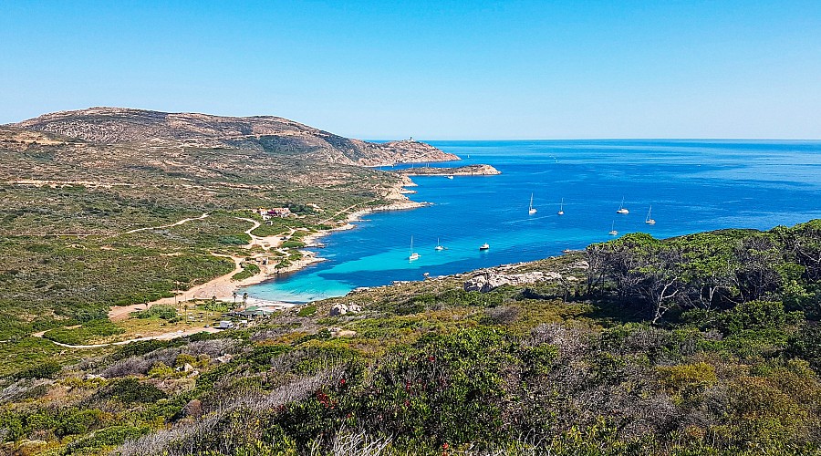 Plage de l'Alga  - Calvi, Alta Corsica <span class='provincia_scheda_link'>(provincia)</span>