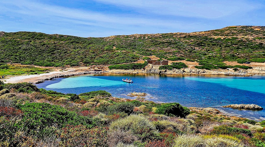 Spiaggia Oscelluccia  - Calvi, Alta Corsica <span class='provincia_scheda_link'>(provincia)</span>