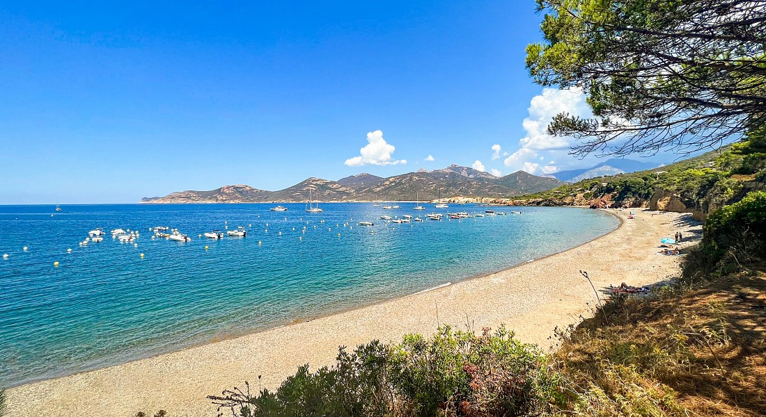 Spiaggia di Galeria  - Galeria, Alta Corsica <span class='provincia_scheda_link'>(provincia)</span>