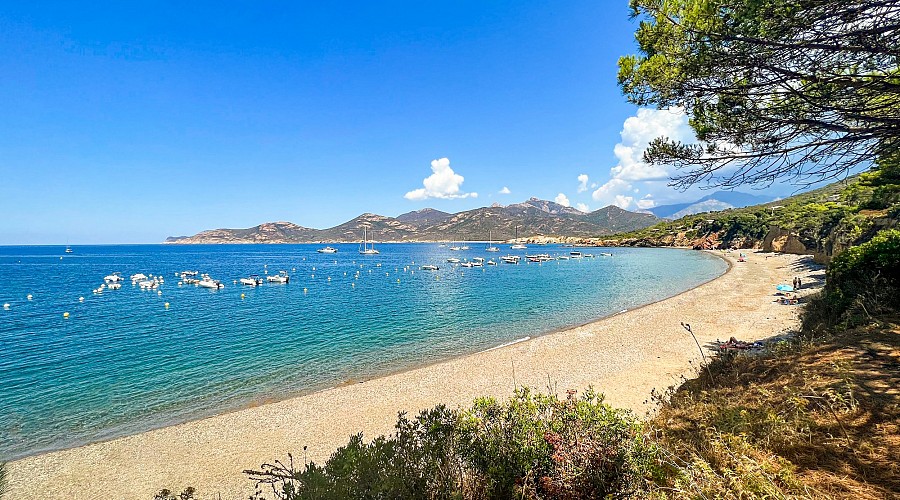 Spiaggia di Galeria  - Galeria, Alta Corsica <span class='provincia_scheda_link'>(provincia)</span>