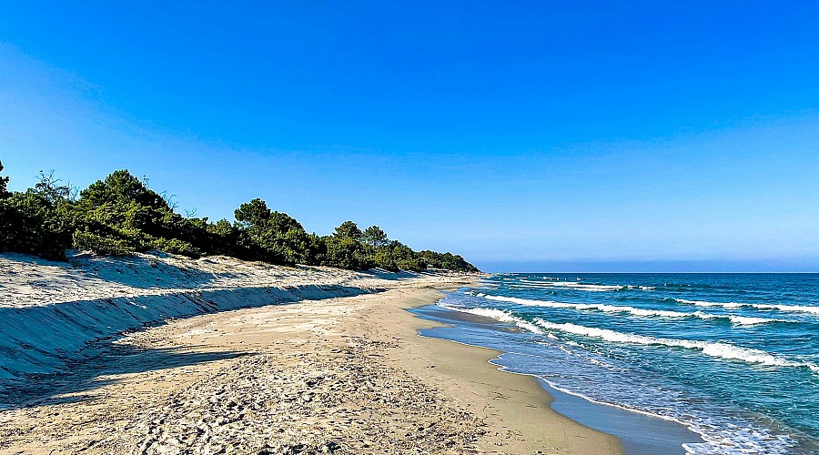 Plage de Casabianda  - Aleria, Alta Corsica <span class='provincia_scheda_link'>(provincia)</span>