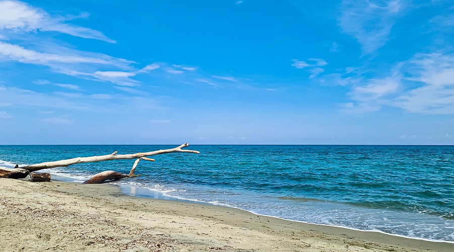 Plage d'Aleria  - Aleria, Alta Corsica <span class='provincia_scheda_link'>(provincia)</span>