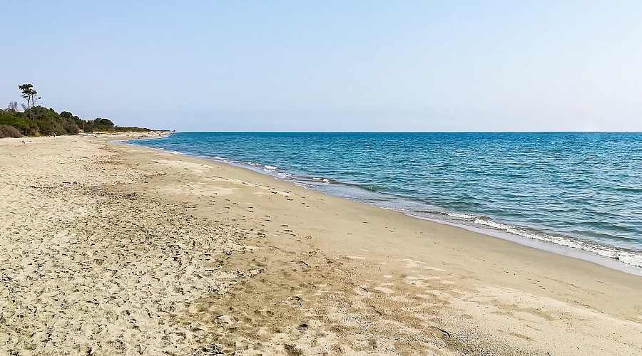 Plage de Marine de Bravone  - Linguizzetta, Alta Corsica <span class='provincia_scheda_link'>(provincia)</span>