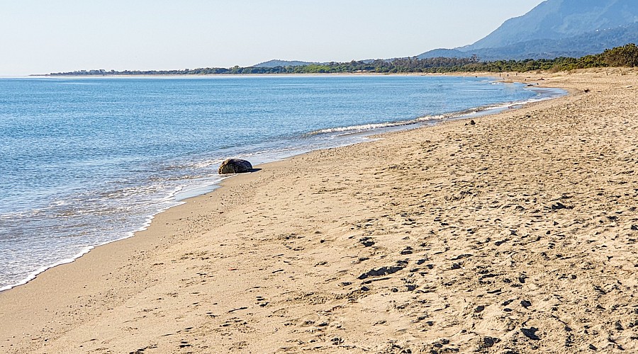 Plage de Cap Sud  - Venzolasca, Alta Corsica <span class='provincia_scheda_link'>(provincia)</span>