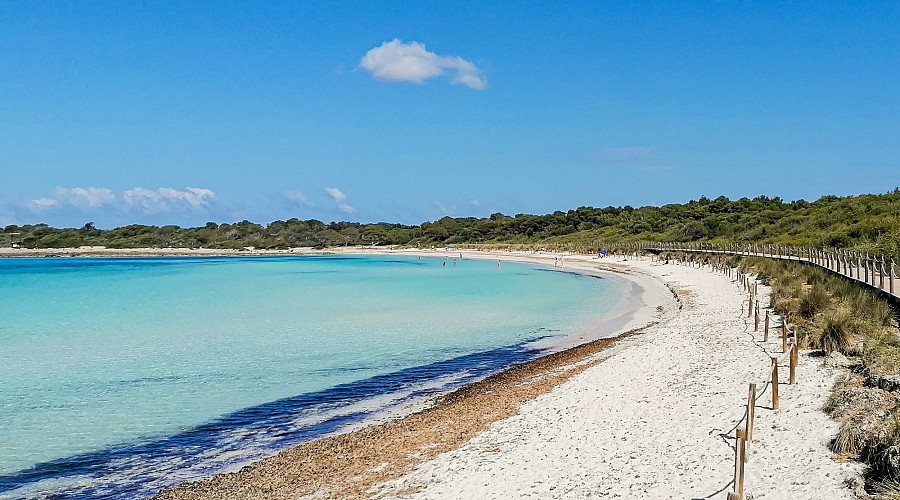 Platja de Bellavista  - Ciutadella de Menorca, Minorca <span class='provincia_scheda_link'>(province)</span>