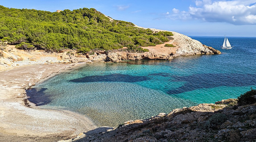 Cala des Matzoc  - Capdepera, Maiorca <span class='provincia_scheda_link'>(provinz)</span>