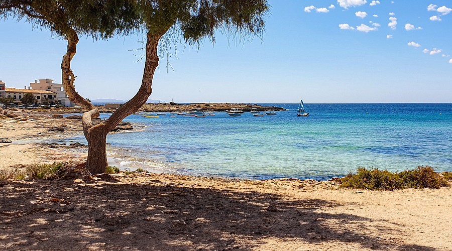 Platja de Cala Galiota  - Ses Salines, Maiorca <span class='provincia_scheda_link'>(provinz)</span>