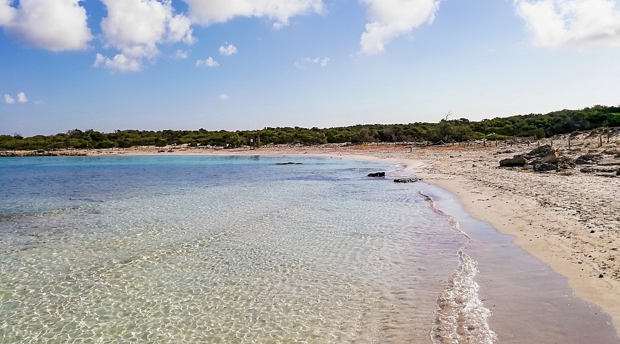 Platja des Peregons Grans  - Colonia san Jordi, Maiorca <span class='provincia_scheda_link'>(provinz)</span>