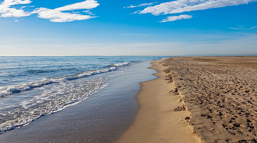 Plage de l'Espiguette  - Montpellier, Montpellier <span class='provincia_scheda_link'>(province)</span>