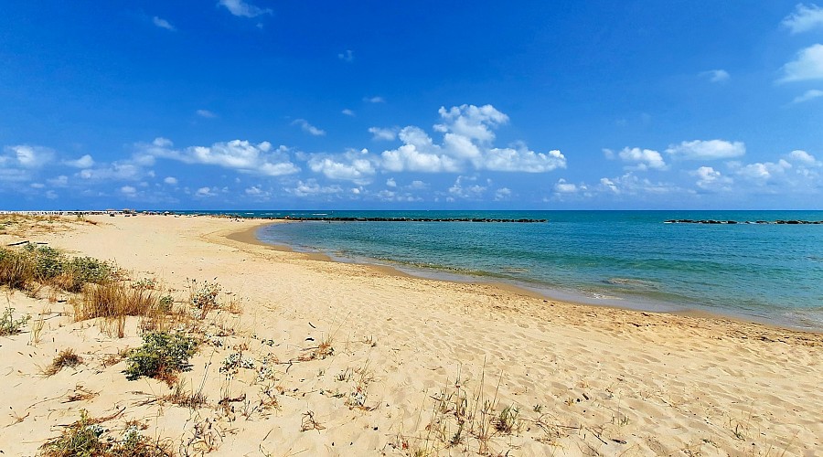 Spiaggia di Campomarino Campomarino Lido - Campomarino, Campobasso <span class='provincia_scheda_link'>(provincia)</span>